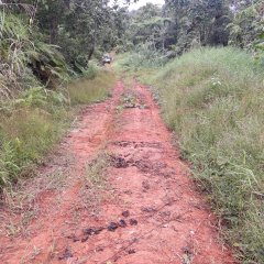 Road work on route to Korokayiu June 7, 2021